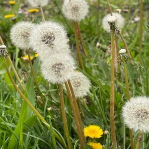 College student :) trying to make some extra cash for tuition